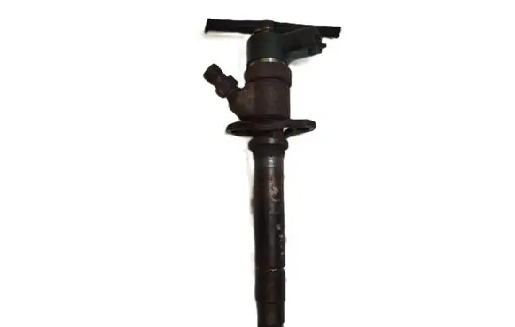 Volvo S60 Fuel injector 0445110078