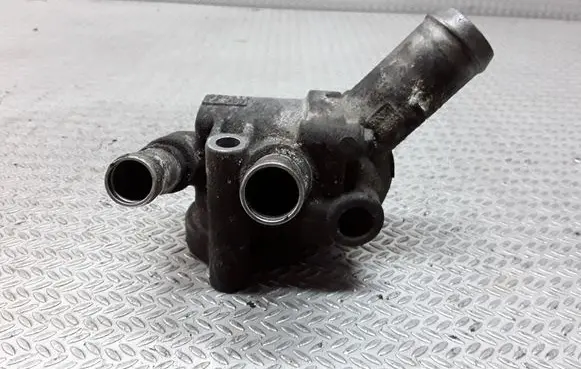 Thermostat/thermostat housing