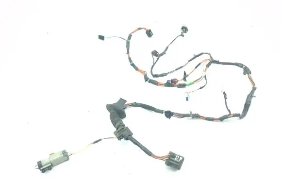 Chrysler Voyager Front door wiring loom