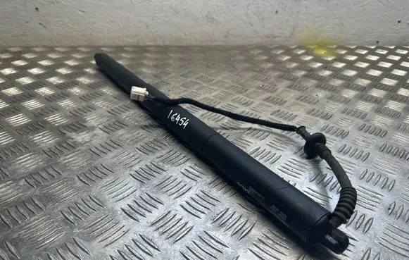 Tailgate/trunk strut/damper