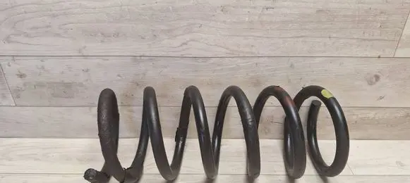 Opel Antara Rear coil spring