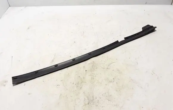 Renault Kangoo III Rubber seal front door (on door) 808319638R