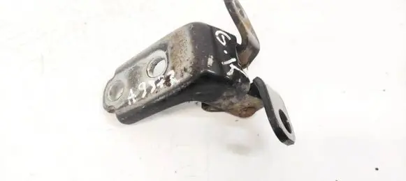 Rear door lower hinge