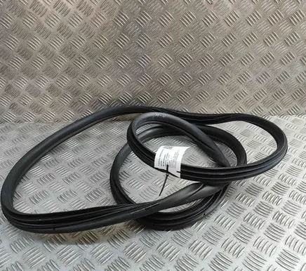 KIA Niro Rubber seal front coupe door 82110AT000
