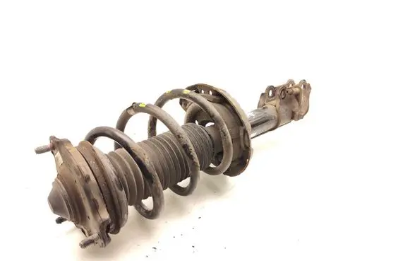 KIA Niro Front shock absorber with coil spring 54651Q4070
