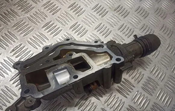 Renault Megane II Thermostat/thermostat housing 8200338668