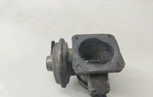 Land Rover Discovery EGR valve WAv100270