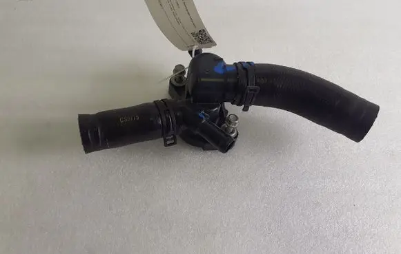 Thermostat/thermostat housing