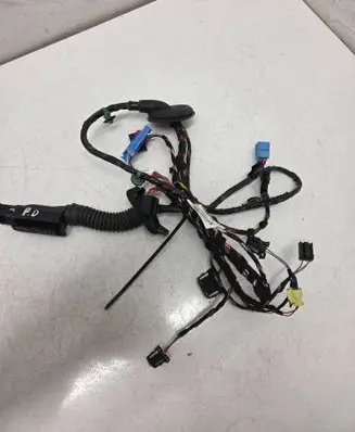 Front door wiring loom