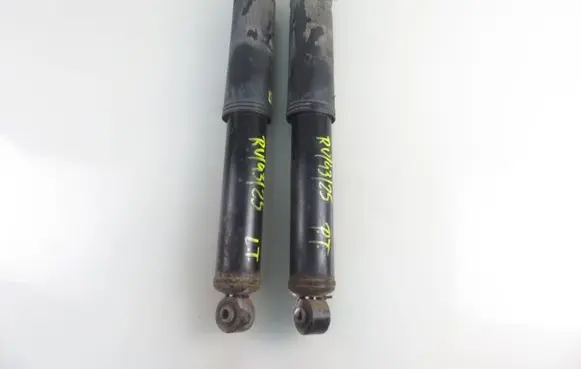 Chevrolet Captiva Rear shock absorber/damper 20924216