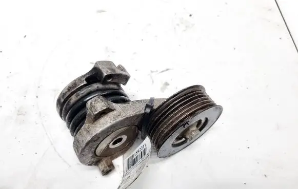 Hyundai i20 (GB IB) Generator/alternator belt tensioner 25281-0450
