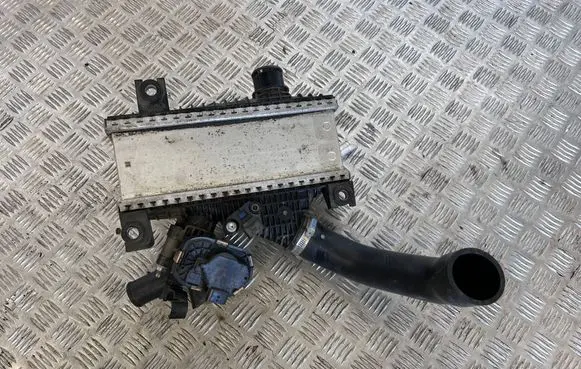 Toyota Mirai II Optional radiator 