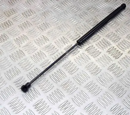 Tailgate/trunk strut/damper