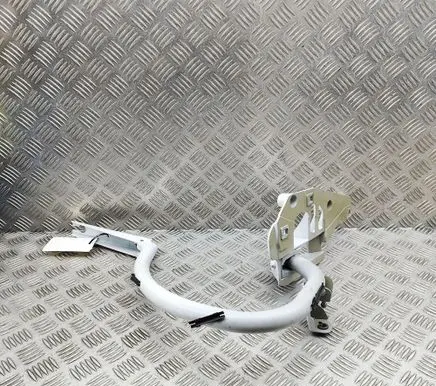Mercedes-Benz E W238 Tailgate/trunk/boot hinge A2387503100