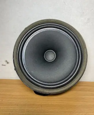 Jaguar F-Pace Front door speaker GX7318808DC C2259