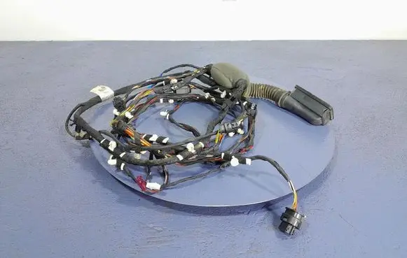 Other wiring loom