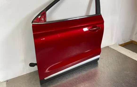 MG ZS Front door