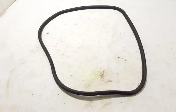 Ford Mach-E I Rear door rubber seal (on body) LJ8BR20709AC