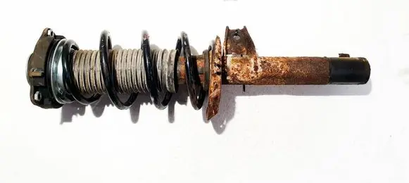 Volkswagen Golf V Front shock absorber/damper 