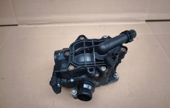 Thermostat/thermostat housing