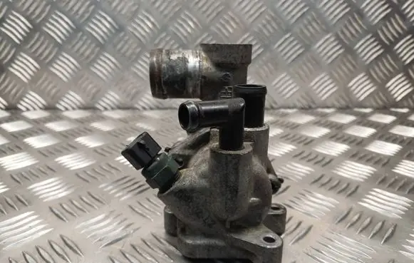 Thermostat/thermostat housing