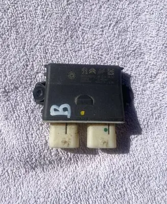 Peugeot 3008 II Other control units/modules 9809260680