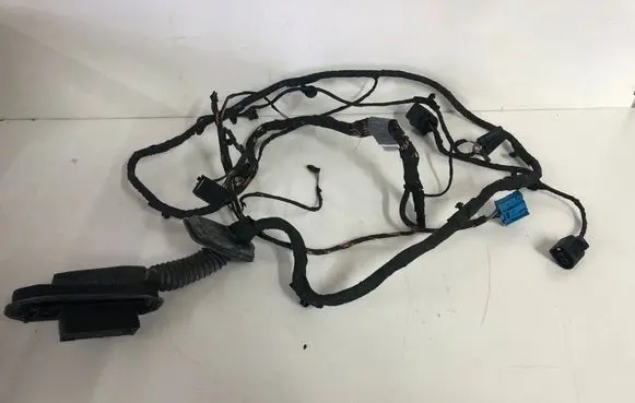 BMW 5 GT F07 Front door wiring loom 9235754