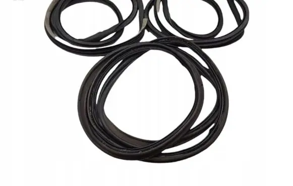 Renault Laguna III Rubber seal front door (on door) 