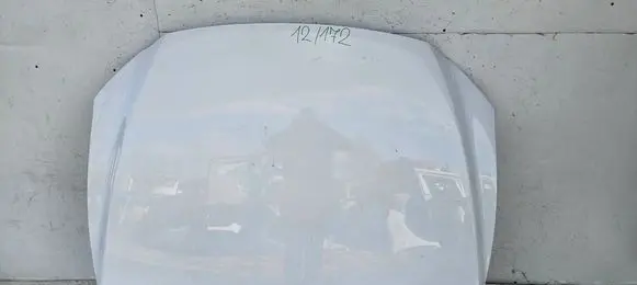 Engine bonnet/hood