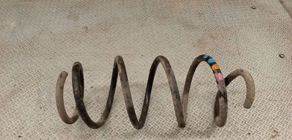 Skoda Octavia Mk2 (1Z) Front coil spring 