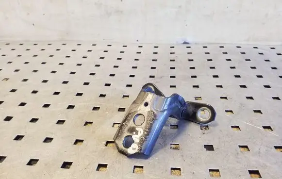 Nissan Juke I F15 Front door upper hinge