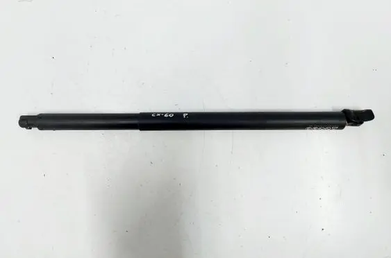 Tailgate strut