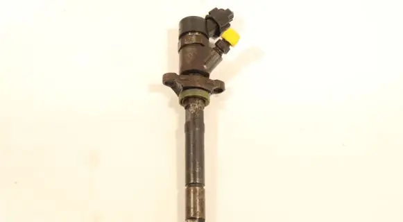 Citroen C4 I Picasso Fuel injector 0445110259