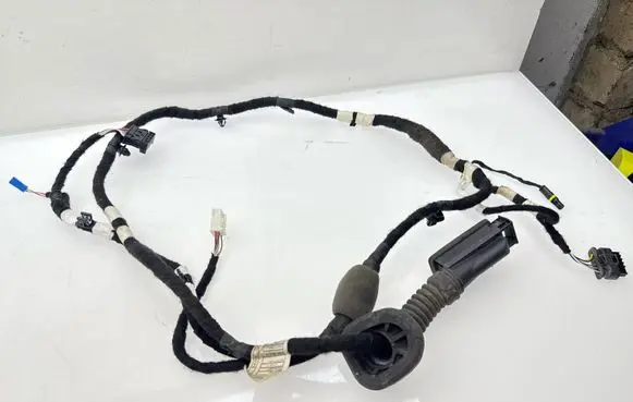 BMW 3 G20 G21 Rear door wiring loom 13708011