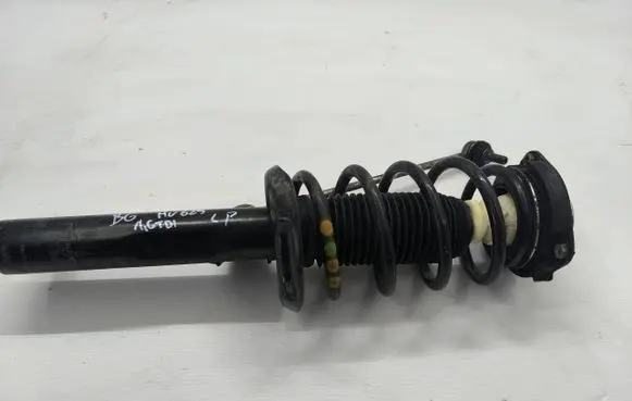 Volkswagen PASSAT B6 Front shock absorber/damper 824904013027