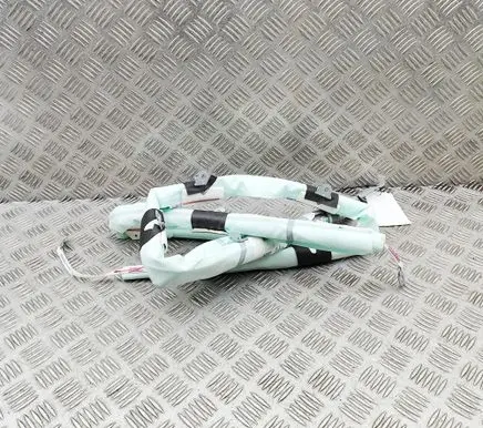 Fisker Ocean Roof airbag FM2940700021A