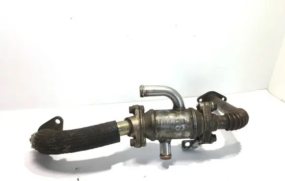 Hyundai Terracan EGR valve cooler