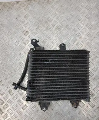Toyota Land Cruiser (J100) Engine oil radiator 0240002722 6010