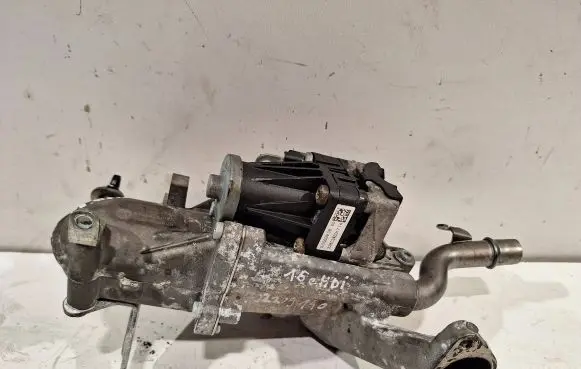 Peugeot 208 EGR valve 50563908