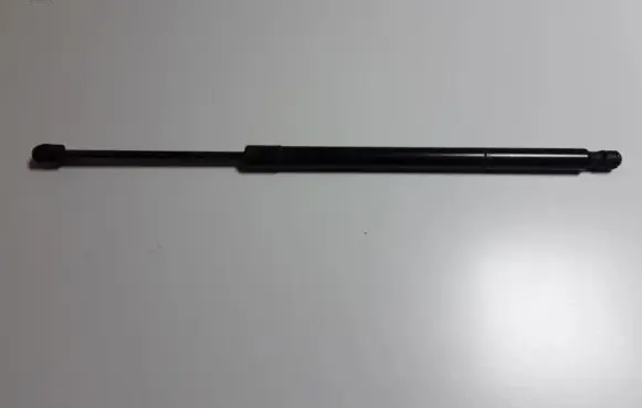 Tailgate strut