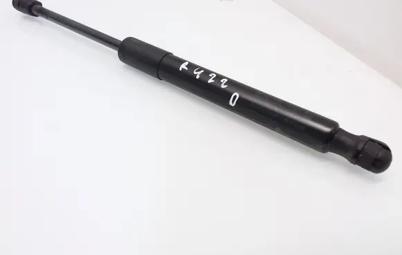 Tesla Model 3 Tailgate/trunk strut/damper 109156000B