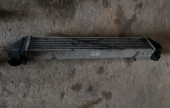 Mercedes-Benz B W245 Intercooler radiator 1695000000