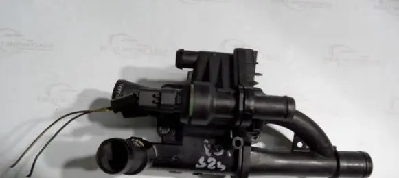 Thermostat/thermostat housing