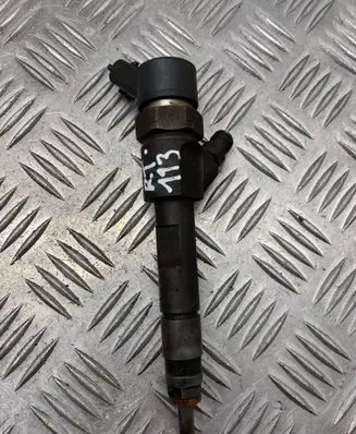 Renault Trafic II (X83) Fuel injector 8200100272 0445110110B