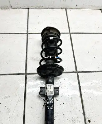 Skoda Kamiq Front shock absorber with coil spring 2Q0413031DS SK3704VL12 824903017738