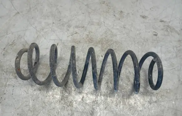 Rear coil spring