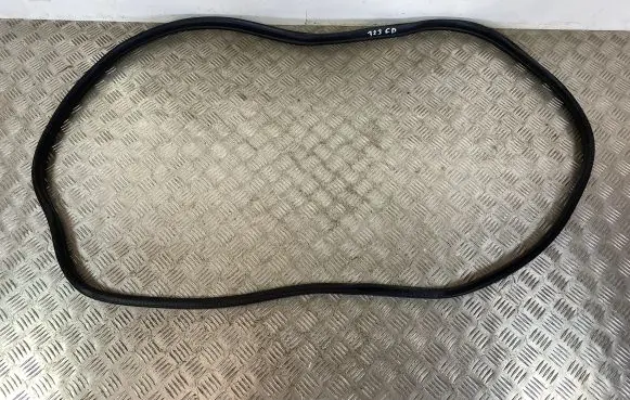KIA Sportage Rear door rubber seal (on body) 