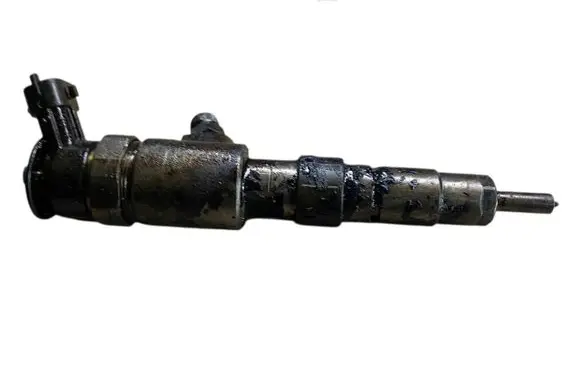 Citroen C4 II Fuel injector 0445110340