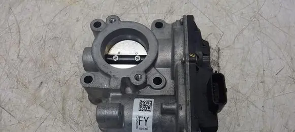 Dacia Sandero II Throttle body valve 