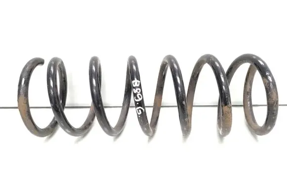 Rear coil spring